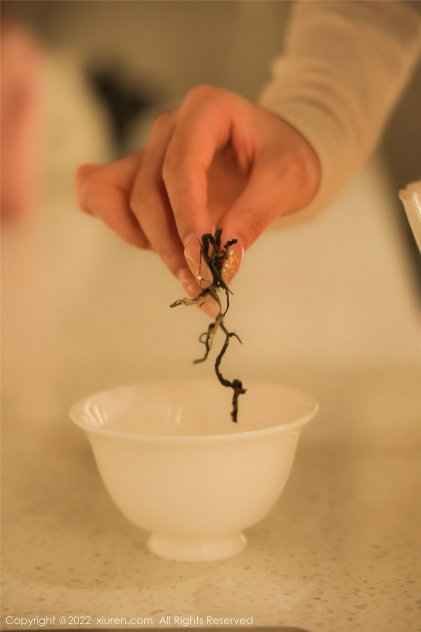 国产在线精品伦理欧美最精准